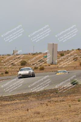 media/May-03-2025-Lucky Dog Racing (Sat) [[206de64b9d]]/Turn 6 (150pm-230pm)/